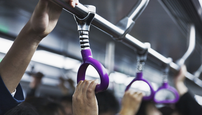 临港新片区，中运量交通网，交通提升