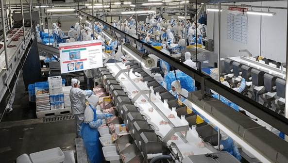 全球最大牛肉出口国巴西疫情严重，两成肉制品工人或已“中招”