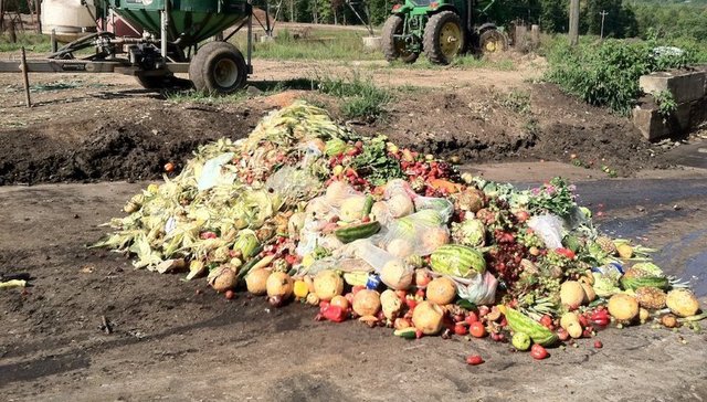 食物浪费,储存,冷藏,法律,回收