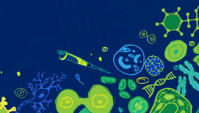 华大基因,专利战,业绩