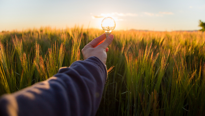 开市！创业板注册制首批企业鸣钟，“18罗汉”开盘涨幅最高突破500%