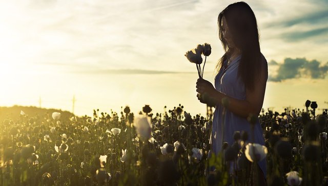 女性,文化,安全