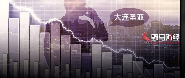 圣亚,上市公司,监管