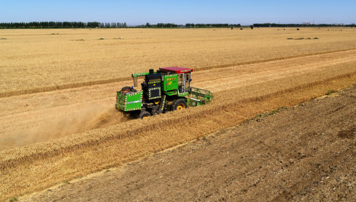 农业农村部,粮食,