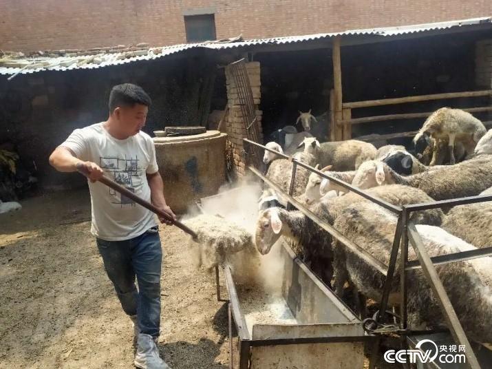 魏县精准防贫机制把房向魁一家从返贫线上拉了回来，从新走上致富奔小康的道路。（摄/徐辉）