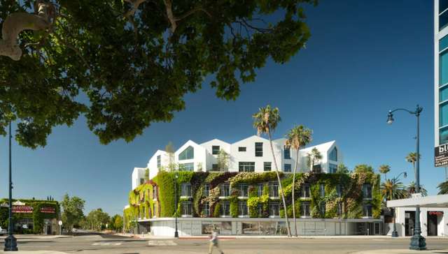 马岩松MAD首个美国项目竣工，“山丘庭院”隐世于城市中心