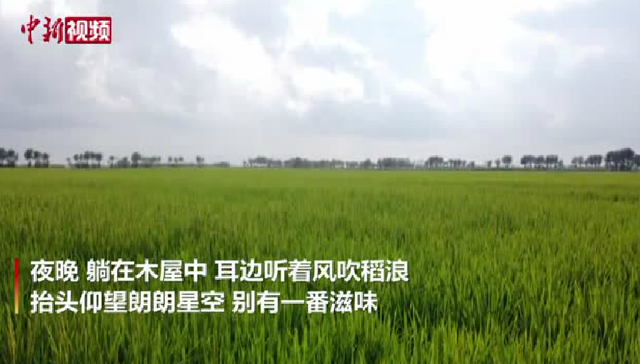 内蒙古扎赉特旗的特色民宿：在万亩稻浪中仰望星空