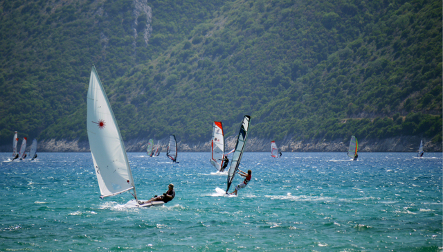 显示屏,LCD,面板,资本市场