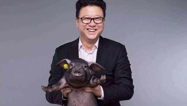 互联网,文化,创业