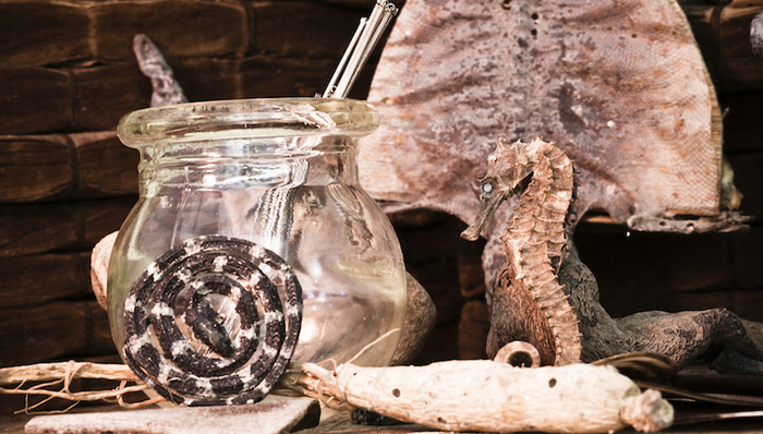 野生动物入药风险被低估，传统医药发力替代品研发