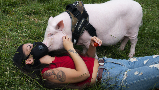 欧洲大国经济复苏需待明春，西班牙最难熬