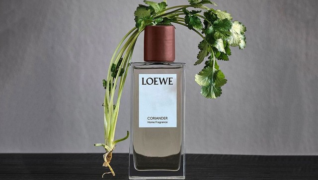 是日美好事物｜LOEWE香菜香水勾勒菜园气息，Fendi推出Peekaboo包袋姐妹款