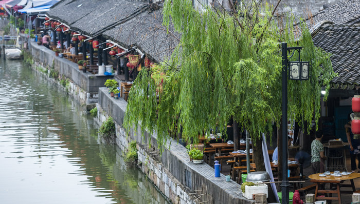 上海金山，乡村振兴，美丽乡村