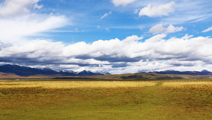 选一条经典的线路穿越甘南，带你领略经典的藏区美景