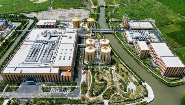 上海,环境,垃圾分类