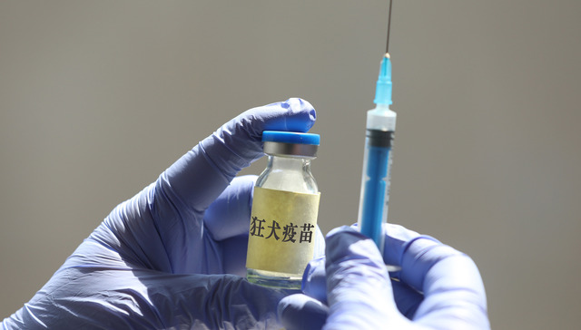 首部动物治伤防治规范出台，被猫狗咬伤怎么治有统一说法了