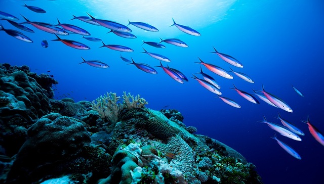 财说| 除了“宫斗”闹剧，大连圣亚还有这些问题