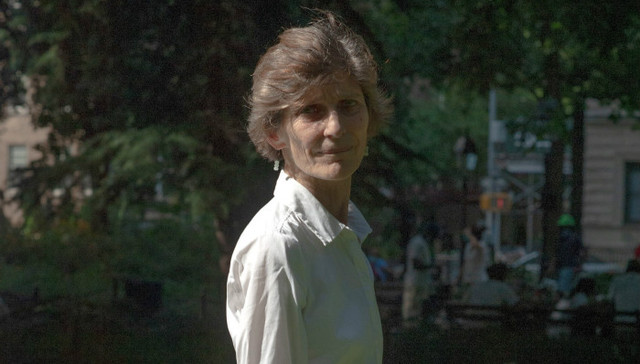 “那不勒斯四部曲”英文译者安·戈尔茨坦：我努力向读者证明我不是费兰特！