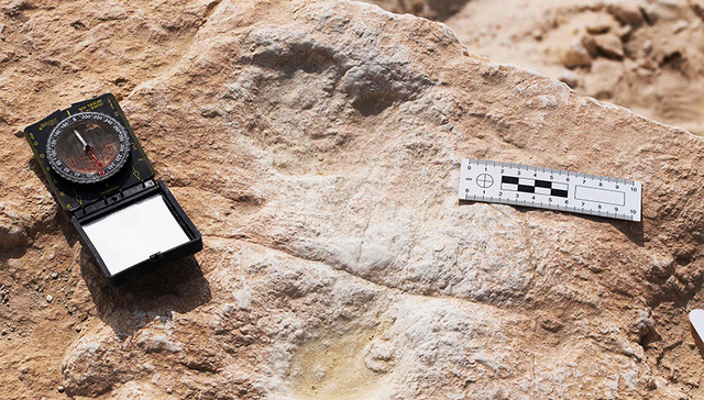 【图集】热议的考古专业到底是做什么的？