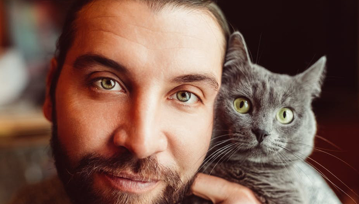 社交软件,喵星人