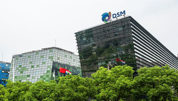 跨国公司,高管,人造肉