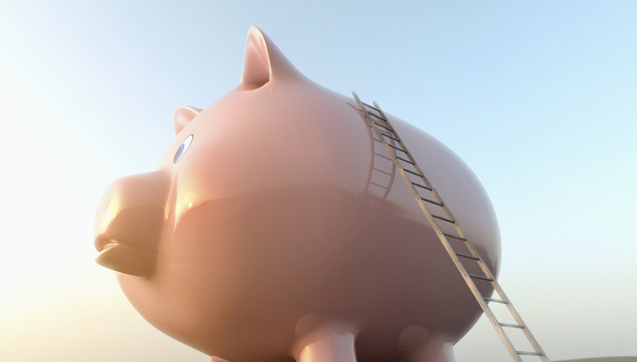 预调酒，低度酒，年轻人摸不准的新胃口