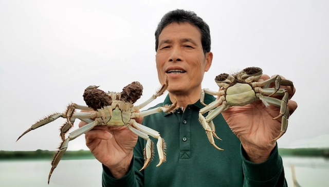 上海海关，大闸蟹，出口