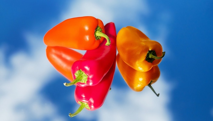 美团,拼多多,生鲜电商