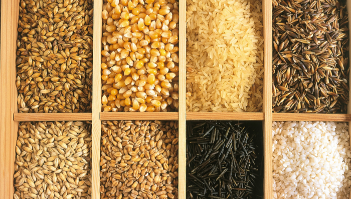 农业农村部：秋粮丰收已成定局，预计全年粮食面积增加1000万亩左右