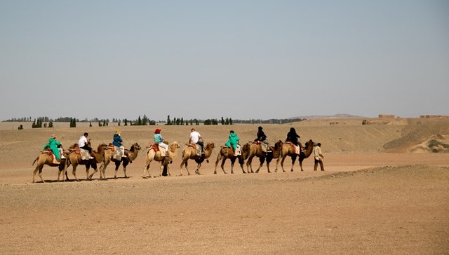 敦煌“陷阱厕所”4人涉强迫交易被刑拘，36名受害者已收到退款