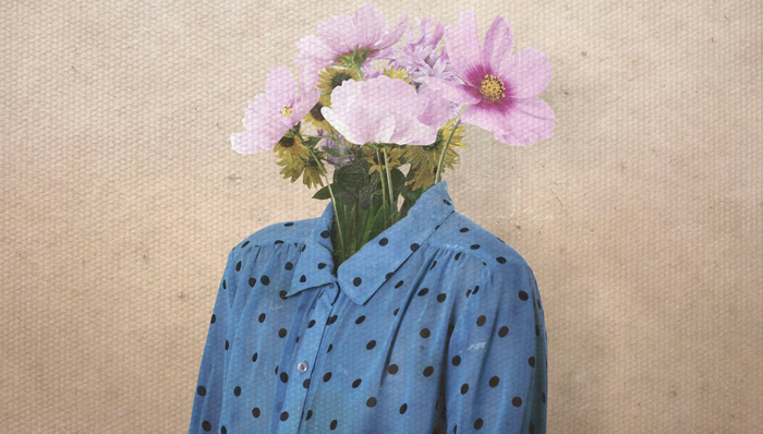 书评,认知科学,身体