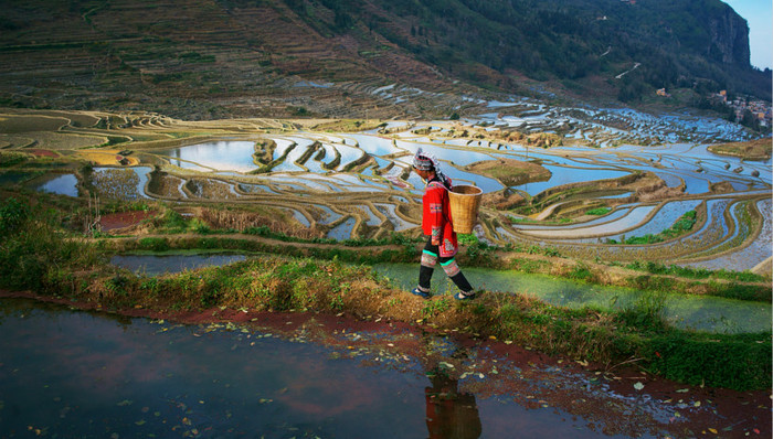 民族主义,新书,中国历史