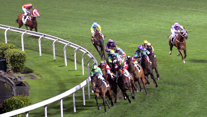 赛马,海南瑞泽,罗牛山