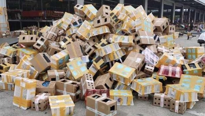 数千只宠物滞留物流园死亡，韵达称系他人假冒，快递能否运送活体动物？