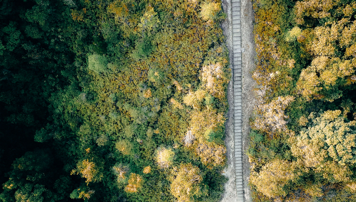 铁路,地方经济,雅安至林芝段