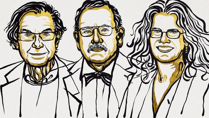 三位科学家获2020年度诺贝尔物理学奖，他们揭露了“黑洞和银河系的秘密”