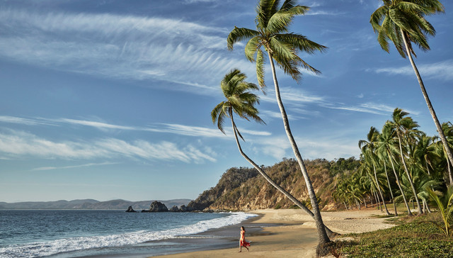 一周旅行指南 | 半岛酒店集团发布免费电子食谱 ，八家柏悦酒店将同步呈现“非凡红”主题下午茶