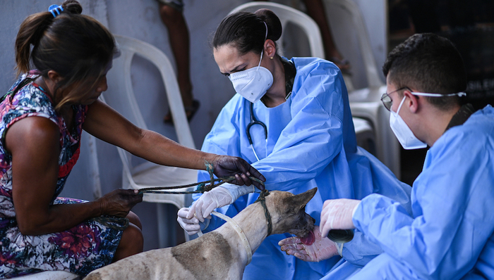 确诊,新增,死亡,疫苗,白宫,大学,旅行