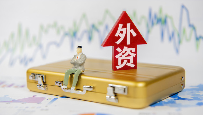 外商；外资；进博会；招商；圆桌会议；汽车产业；