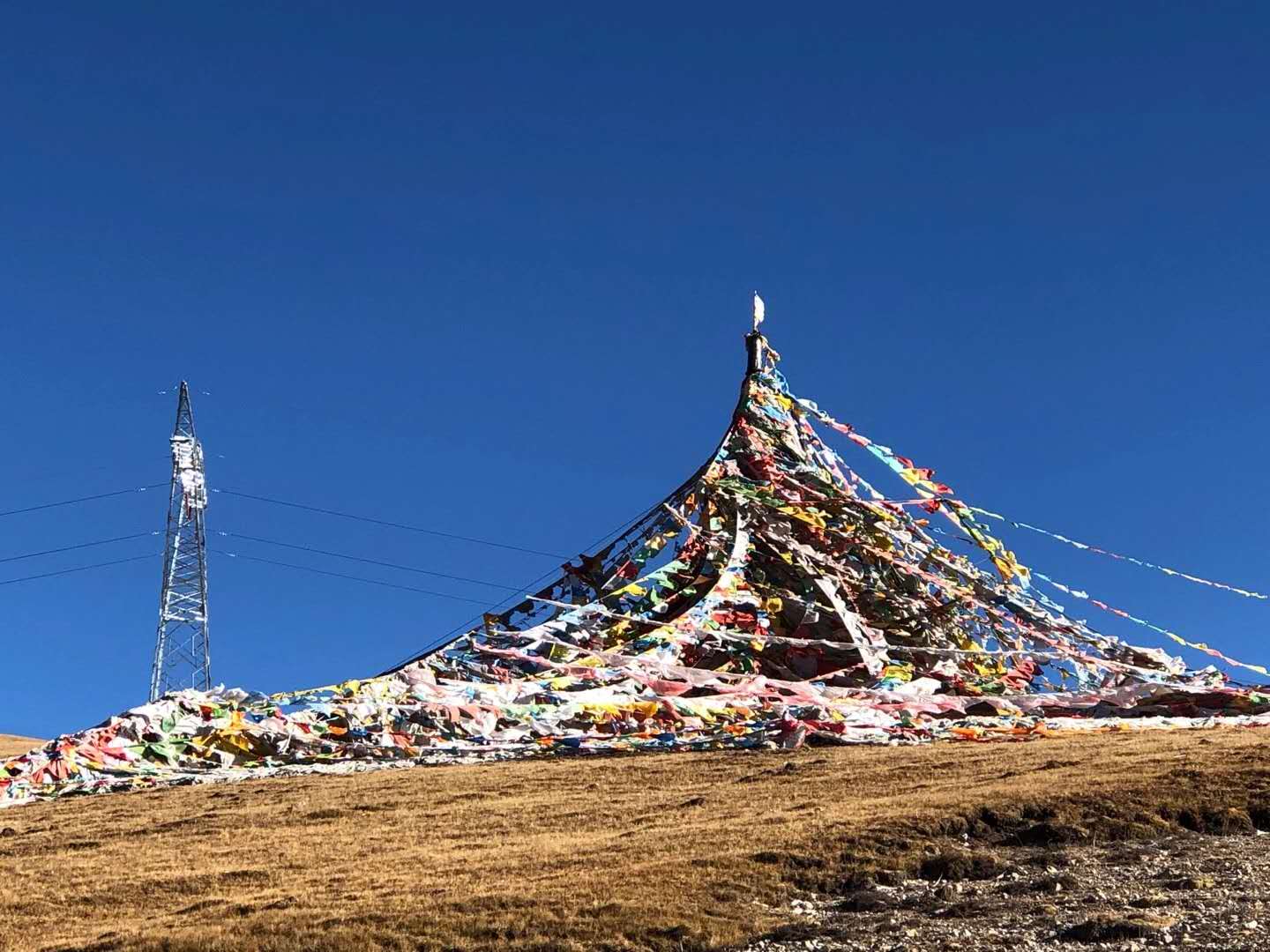 图片来源：界面新闻