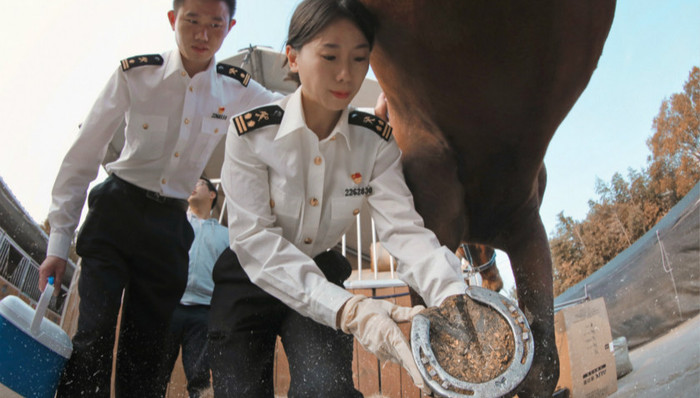 第三届进博会,防疫,闭环管理,专项方案,上海市商务委