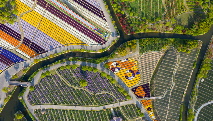 长三角，一体化，绿色生态，马春雷