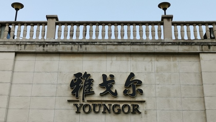 雅戈尔,服装,投资