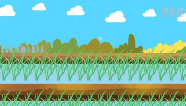 世界粮食日,旅程,配音,粒粒皆辛苦,谁知盘中餐,锄禾日当午,动画制作,珍惜粮食,文案,大自然