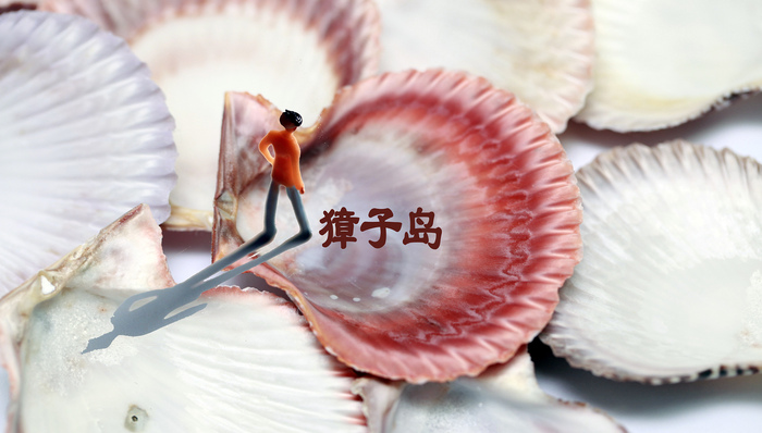 上市公司,獐子岛