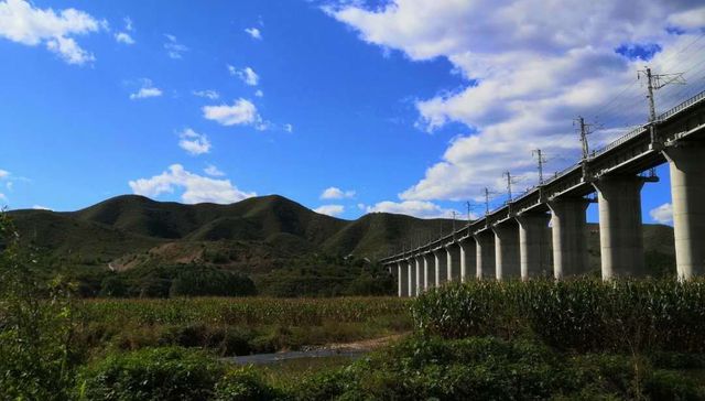 “137号文件”引发压矿补偿争议：计算补偿差异巨大，同类案不同判