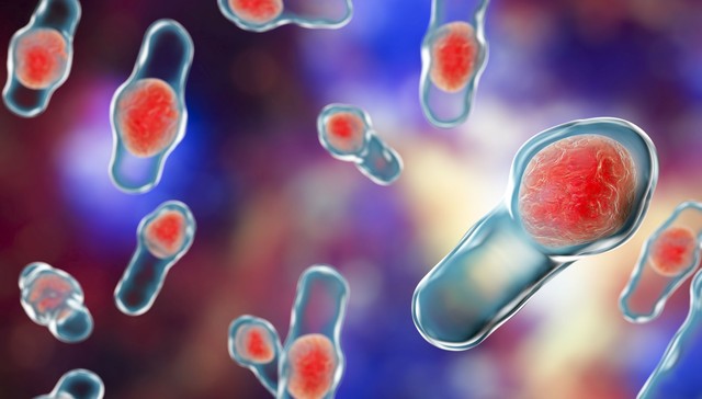 治疗新冠重症唯一有效药物还是它？这些上市公司已布局