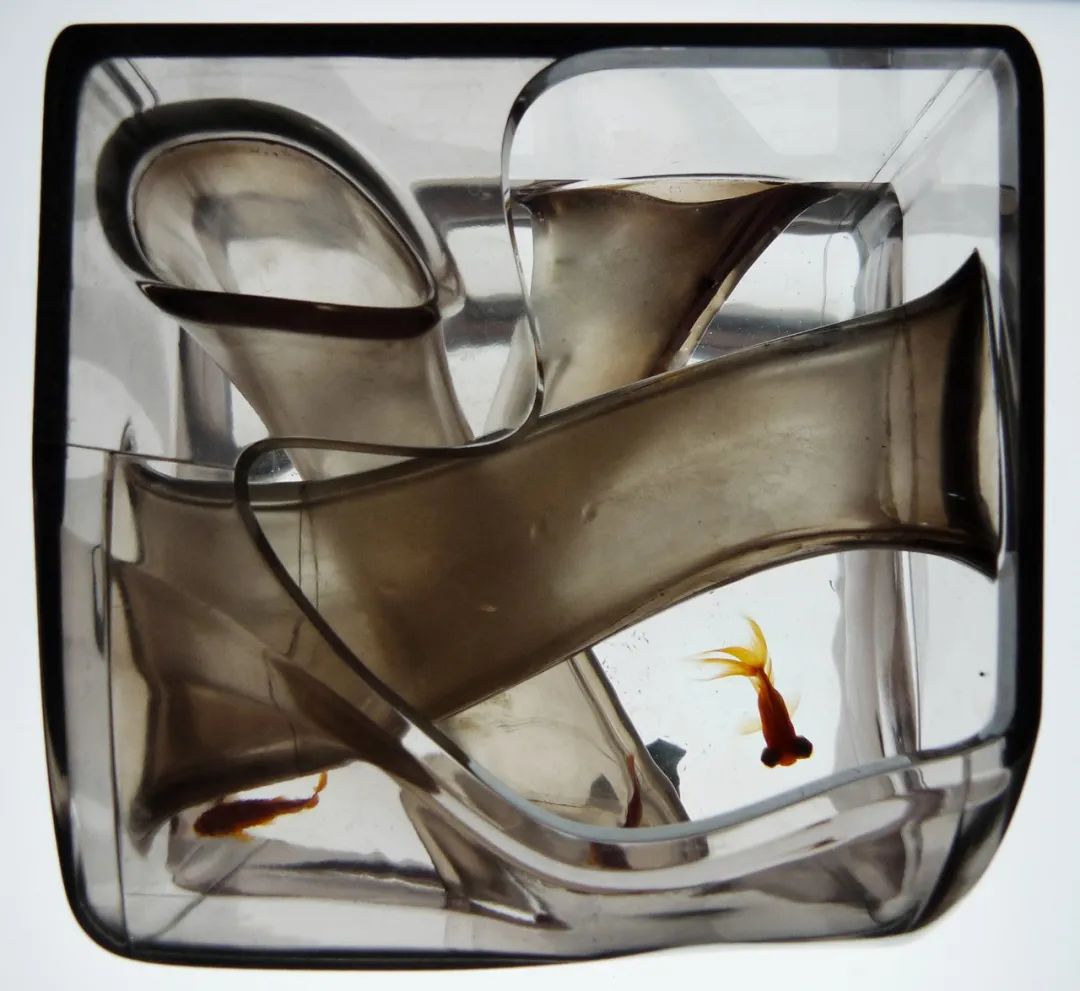 建筑档案对话马岩松丨自我批判与建筑的批判性思考