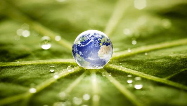 环保，上市，信息公开