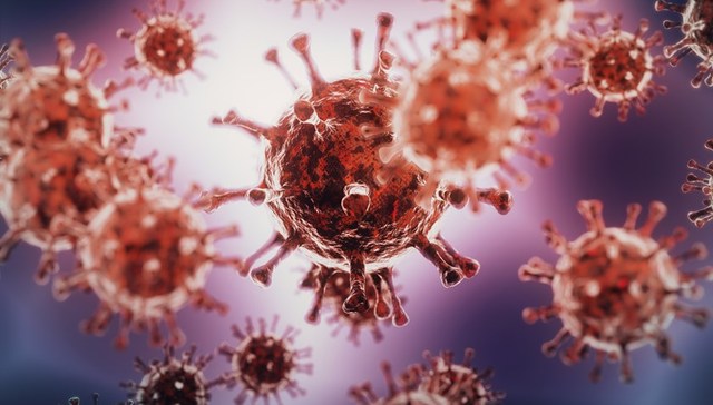 全球确诊病例突破4000万，青岛疫情为破解新冠病毒溯源之谜提供新思路